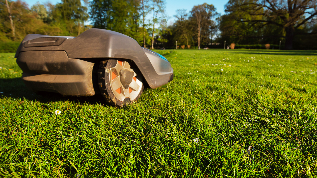 Helfer auf dem Rasen: Unser Mähroboter sucht noch einen Namen!